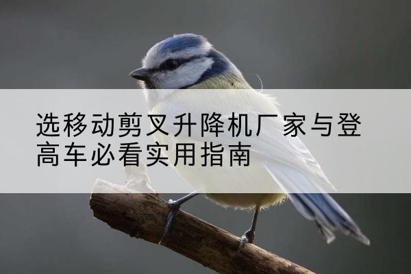 吉水电动升降机厂家-选移动剪叉升降机厂家与登高车必看实用指南