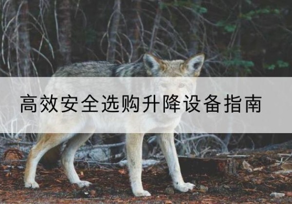 吉水升降货梯厂家推荐-*安全选购升降设备指南